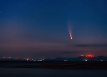 Créditos: Unsplash