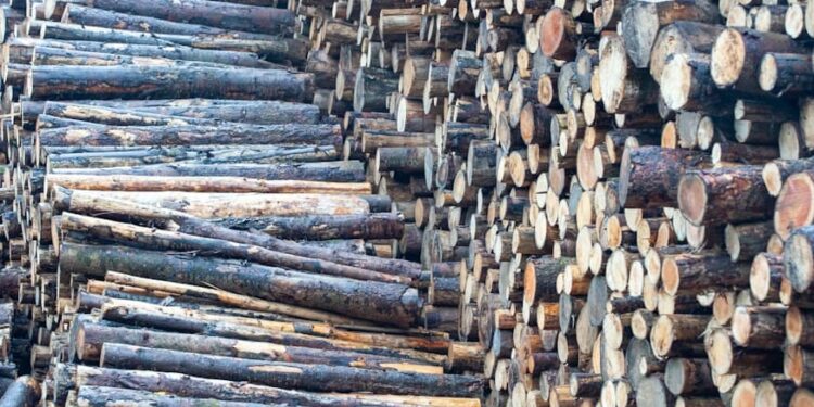 Cientistas criam madeira 20 vezes mais forte que a tradicional e 6 vezes mais leve que o aço