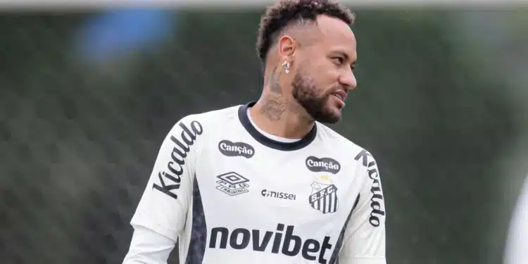 Créditos: Raul Baretta/Santos FC