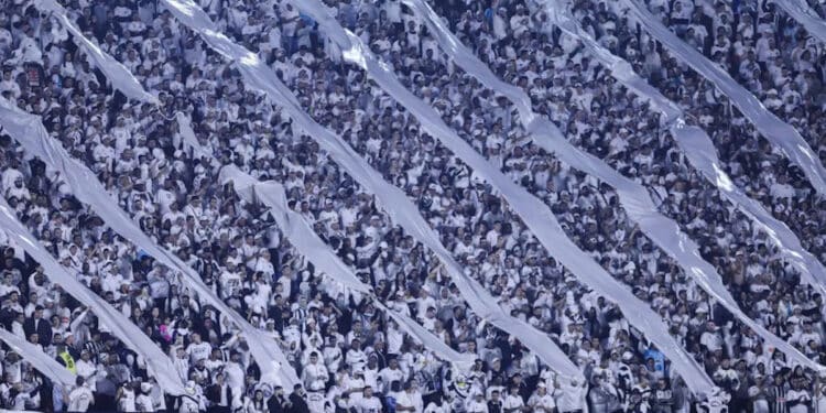 Créditos: Raul Baretta / Santos FC