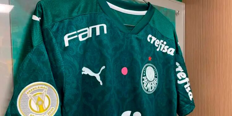 Créditos: César Greco/Palmeiras